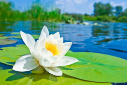 پوستر دیواری سه بعدی کد 985